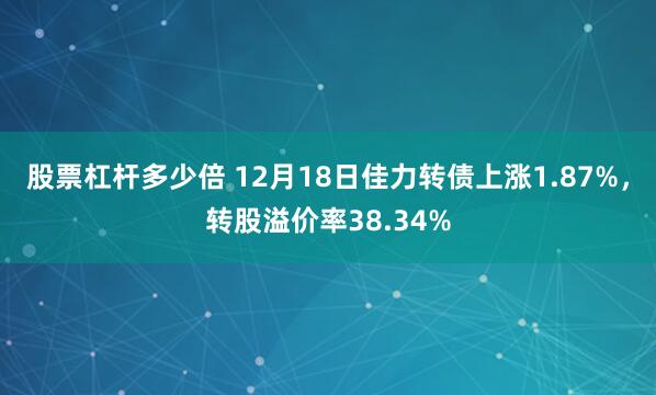 股票杠杆多少倍 12月18日佳力转债上涨1.87%，转股溢价率38.34%