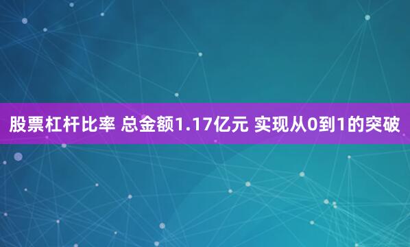 股票杠杆比率 总金额1.17亿元 实现从0到1的突破