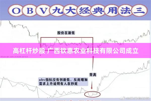 高杠杆炒股 广西钦惠农业科技有限公司成立