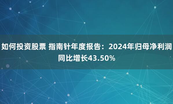 如何投资股票 指南针年度报告：2024年归母净利润同比增长43.50%