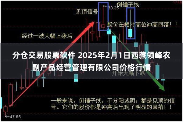 分仓交易股票软件 2025年2月1日西藏领峰农副产品经营管理有限公司价格行情