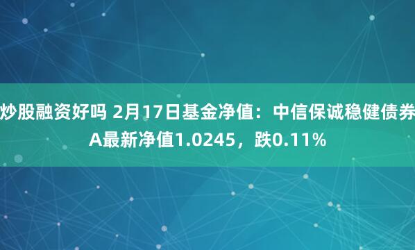 炒股融资好吗 2月17日基金净值：中信保诚稳健债券A最新净值1.0245，跌0.11%